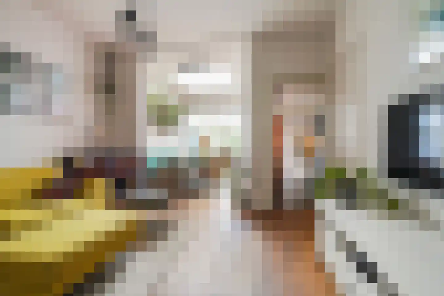 van Merheimstraat 18 Boxtel thumbnail 14