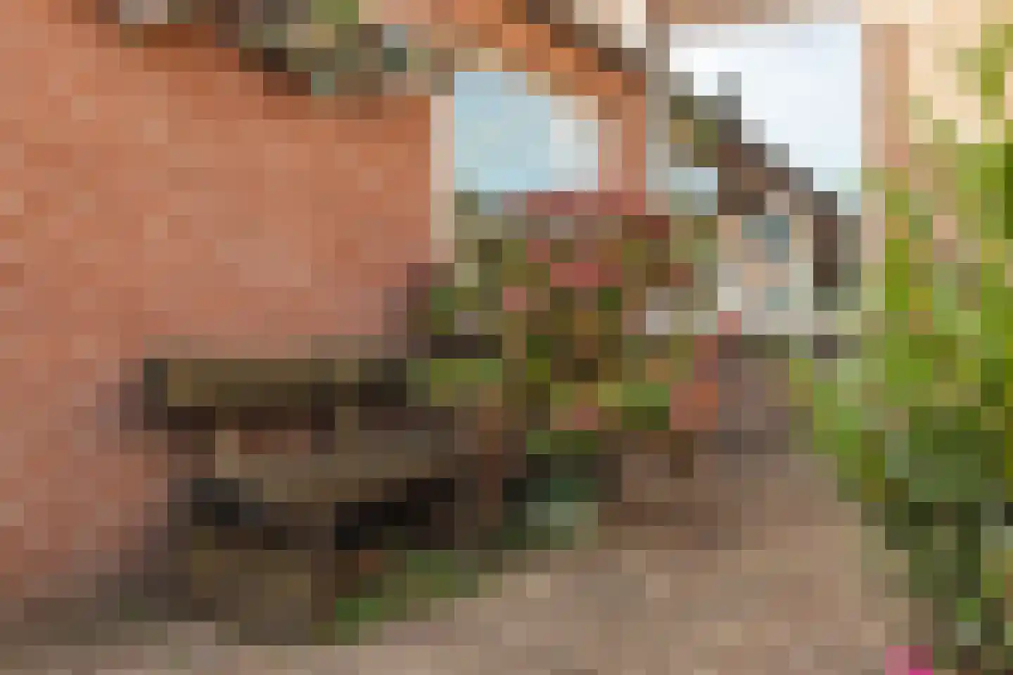 van Merheimstraat 26 Boxtel thumbnail 44