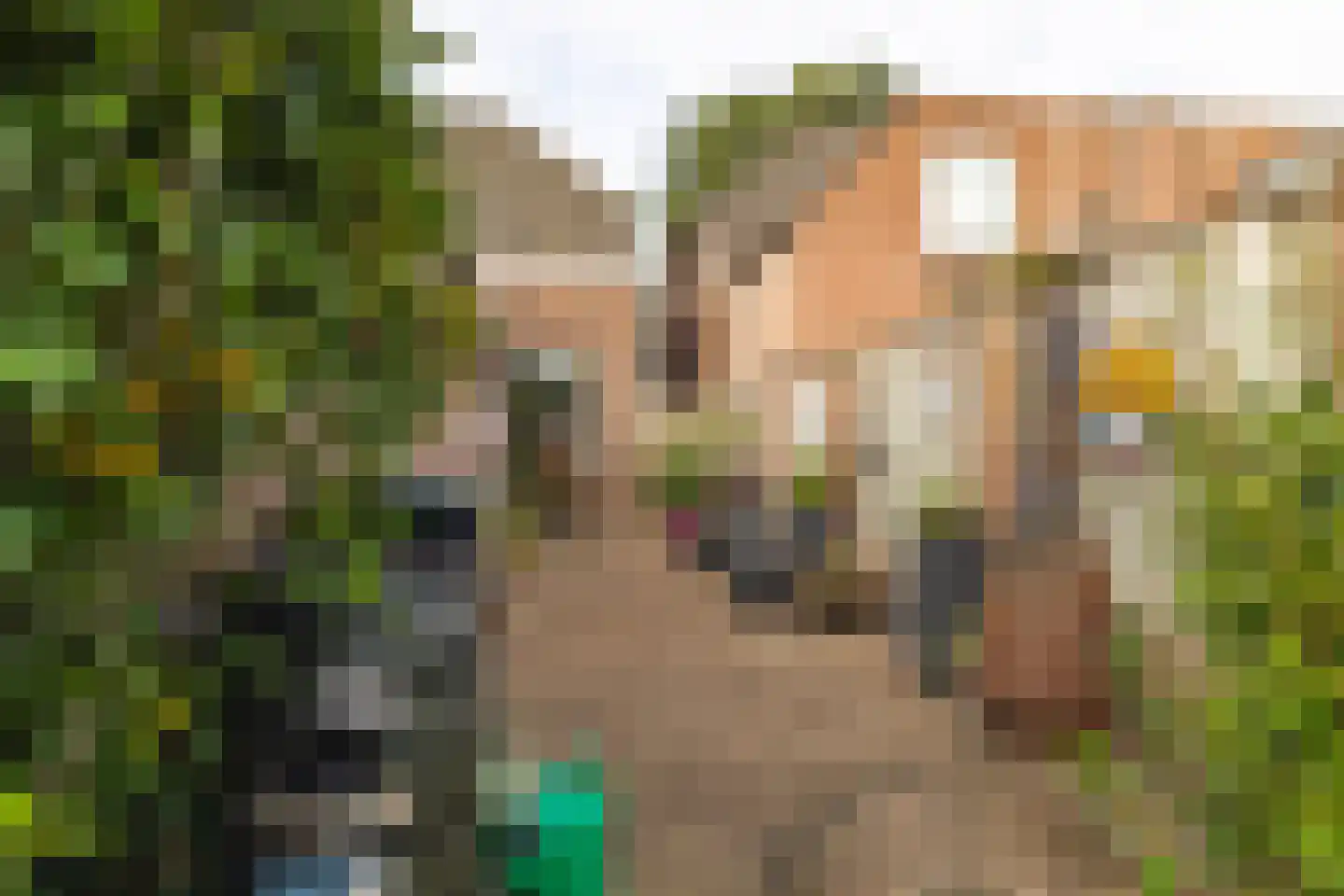 van Merheimstraat 26 Boxtel thumbnail 45