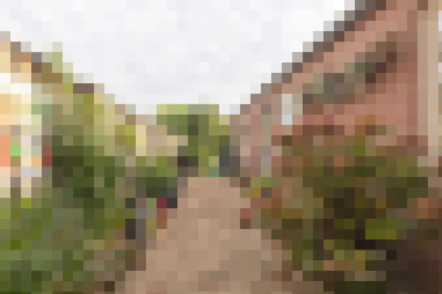 van Merheimstraat 26 Boxtel thumbnail 47