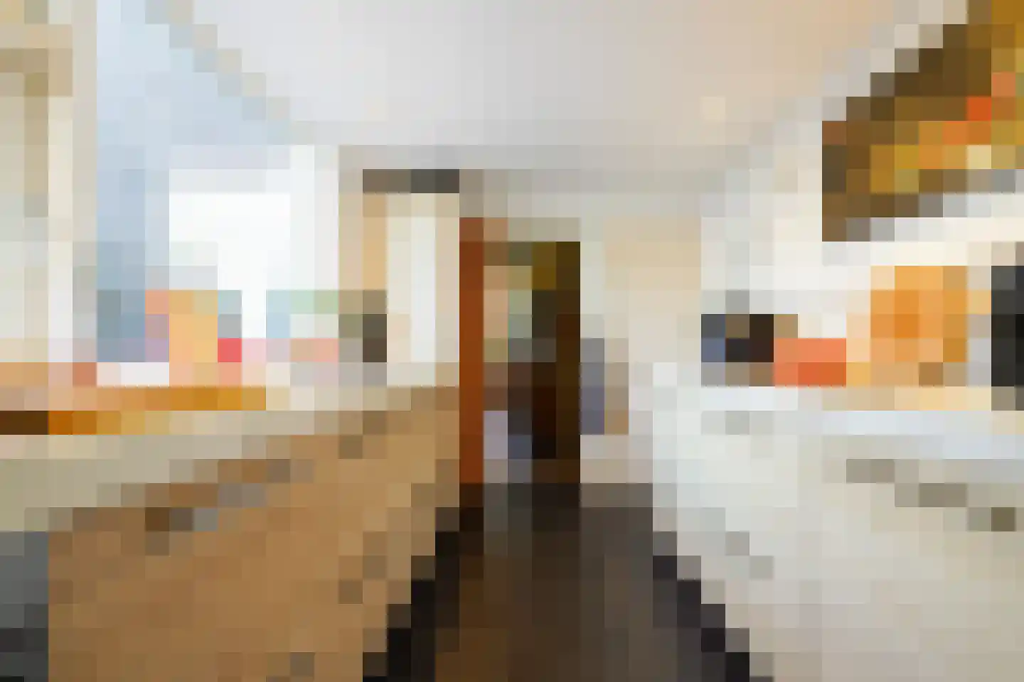van Merheimstraat 33 Boxtel thumbnail 20