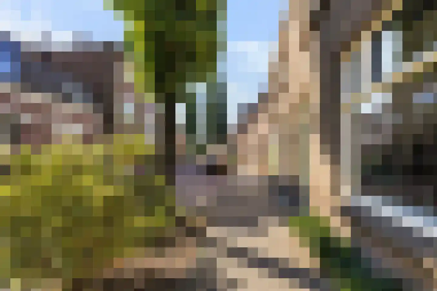 van Merheimstraat 33 Boxtel thumbnail 4