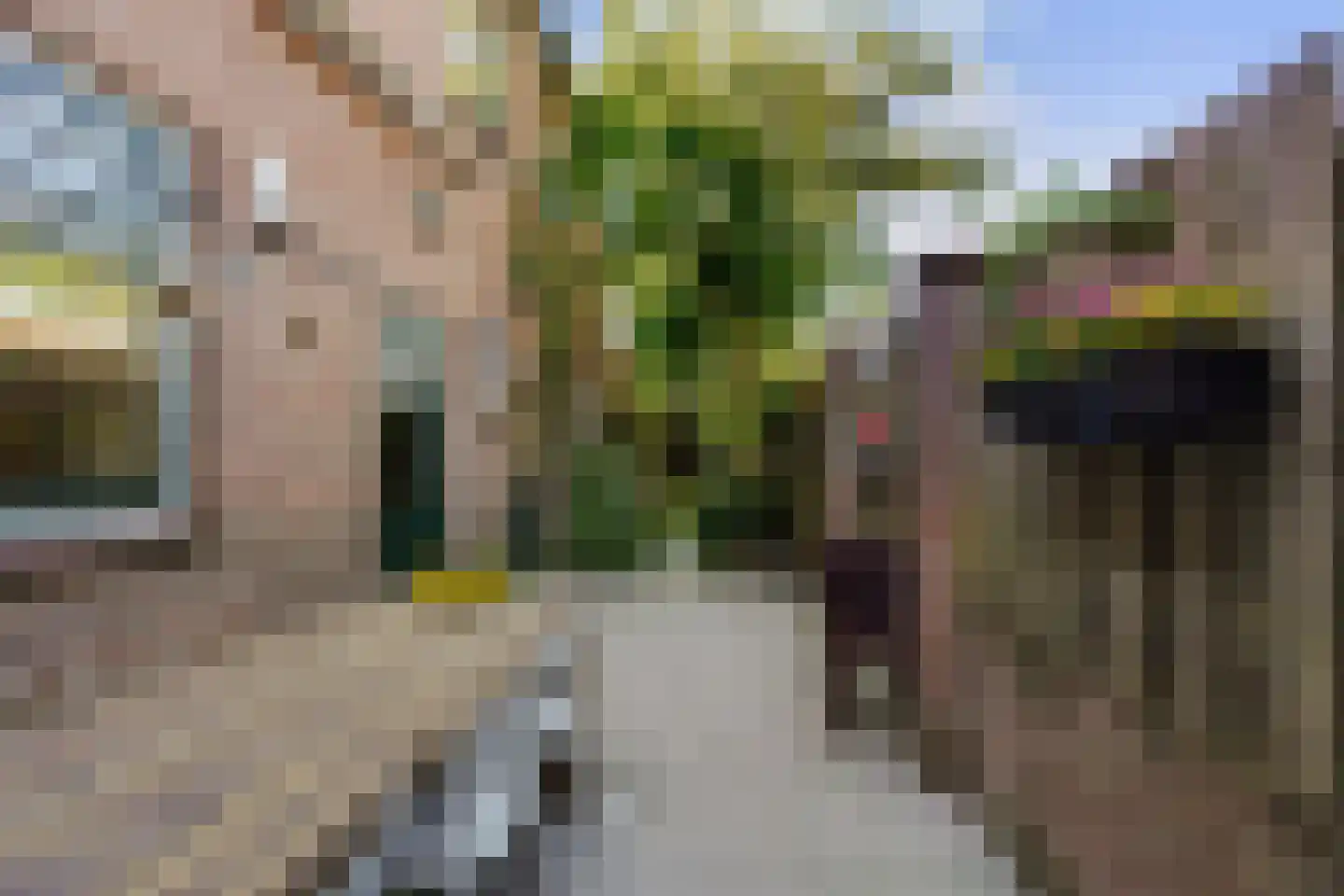 van Merheimstraat 33 Boxtel thumbnail 47