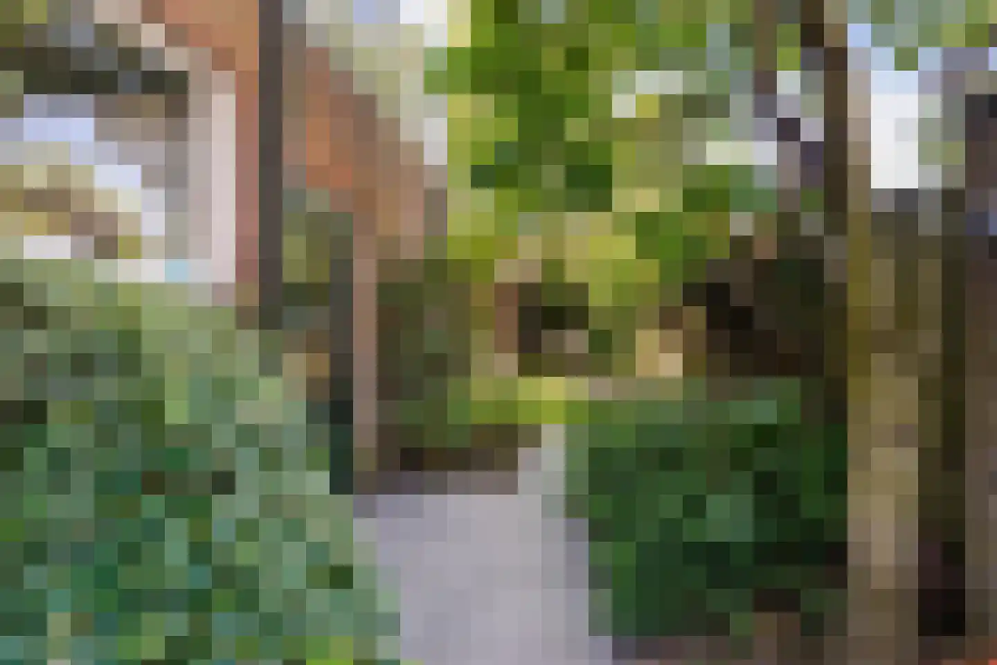 van Merheimstraat 33 Boxtel thumbnail 48
