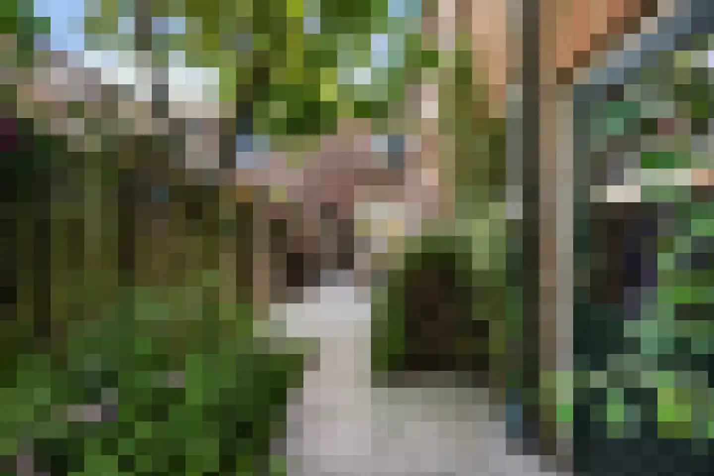 van Merheimstraat 33 Boxtel thumbnail 54