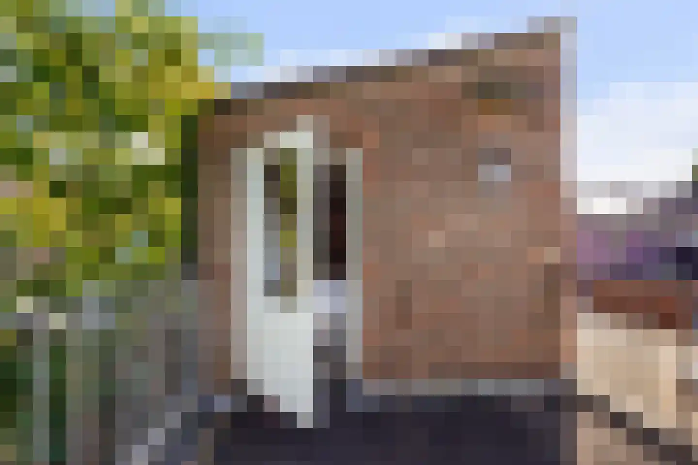van Merheimstraat 33 Boxtel thumbnail 58