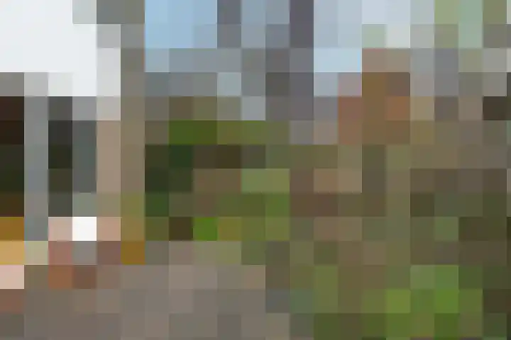 van Merkensteijngaarde 15 Bunnik thumbnail 21