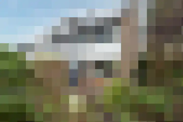 van Merkensteijngaarde 15 Bunnik thumbnail 23