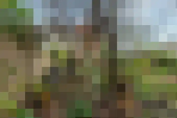 van Merkensteijngaarde 15 Bunnik thumbnail 25