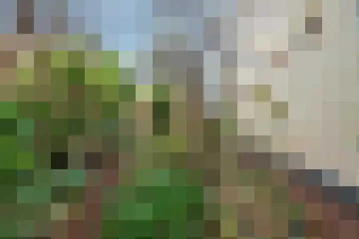 van Merkensteijngaarde 15 Bunnik thumbnail 26