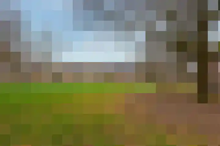van Merkensteijngaarde 15 Bunnik thumbnail 30