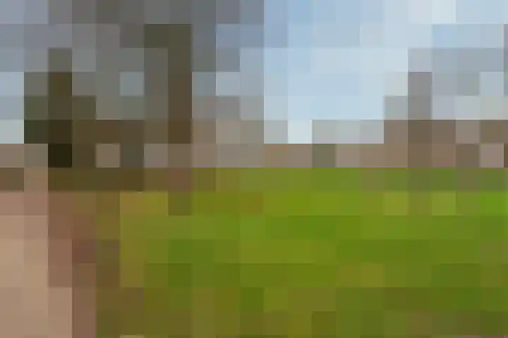 van Merkensteijngaarde 15 Bunnik thumbnail 31