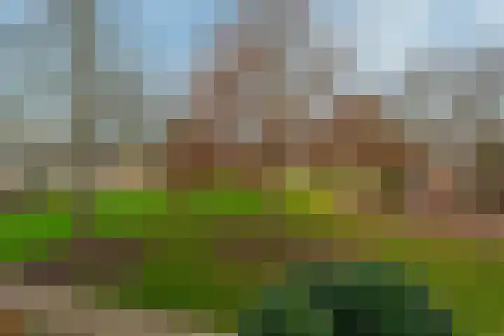 van Merkensteijngaarde 15 Bunnik thumbnail 38