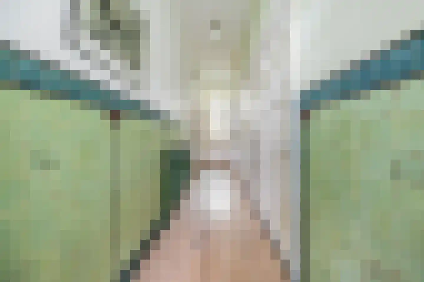 Van Merlenlaan 3 Heemstede thumbnail 11