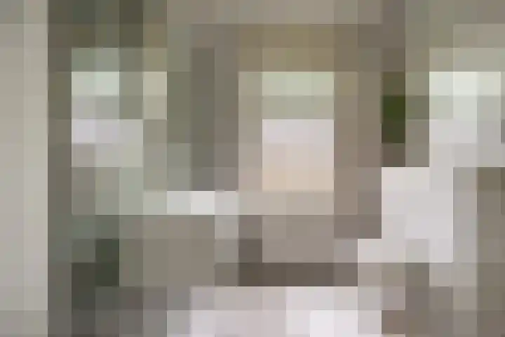 Van Merlenlaan 3 Heemstede thumbnail 15