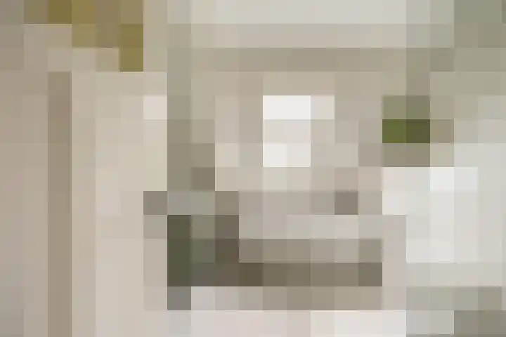 Van Merlenlaan 3 Heemstede thumbnail 24