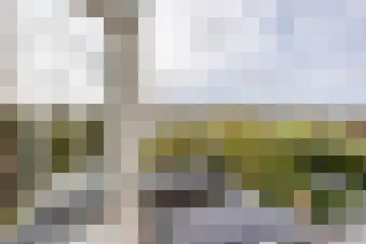 Van Merlenlaan 3 Heemstede thumbnail 28
