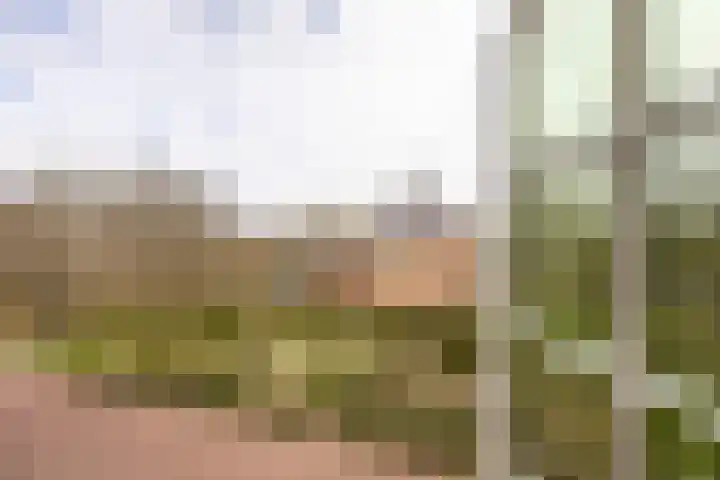 Van Merlenlaan 3 Heemstede thumbnail 30