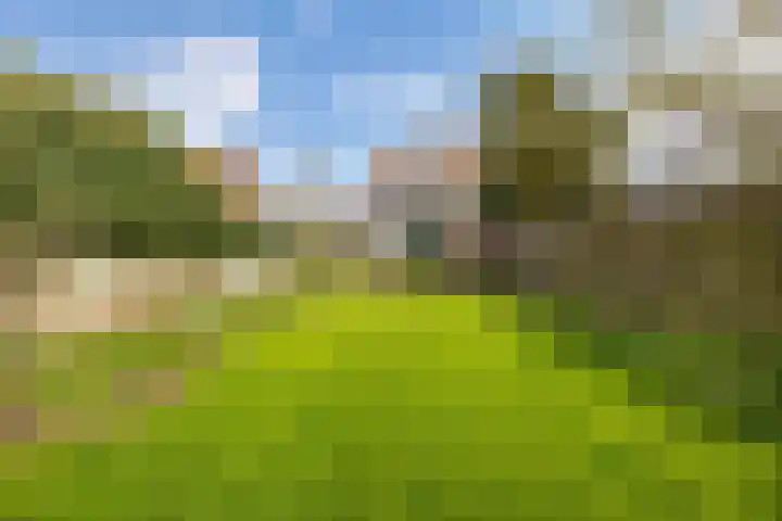 Van Merlenlaan 3 Heemstede thumbnail 31