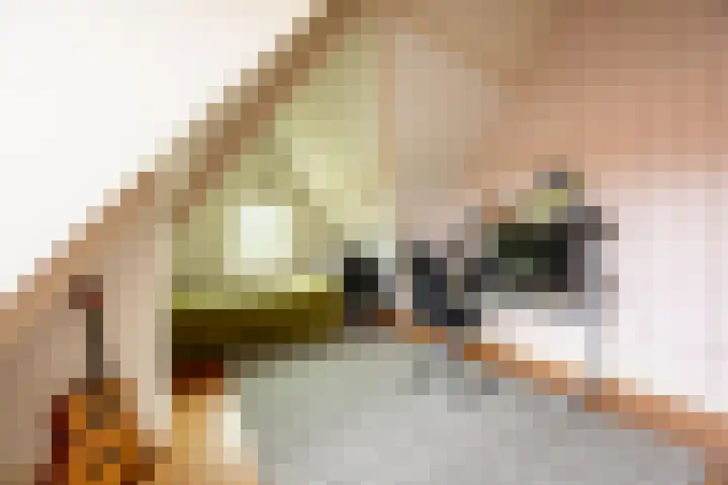 Van Merlenlaan 3 Heemstede thumbnail 31