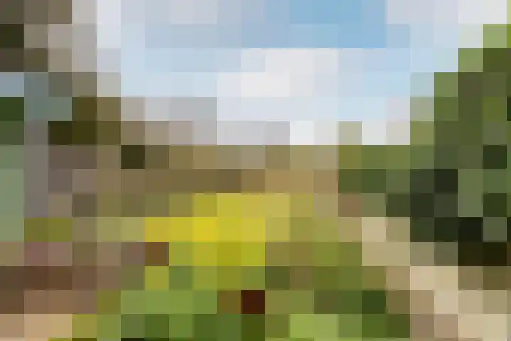 Van Merlenlaan 3 Heemstede thumbnail 33