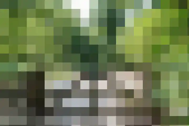 Van Merlenlaan 3 Heemstede thumbnail 36
