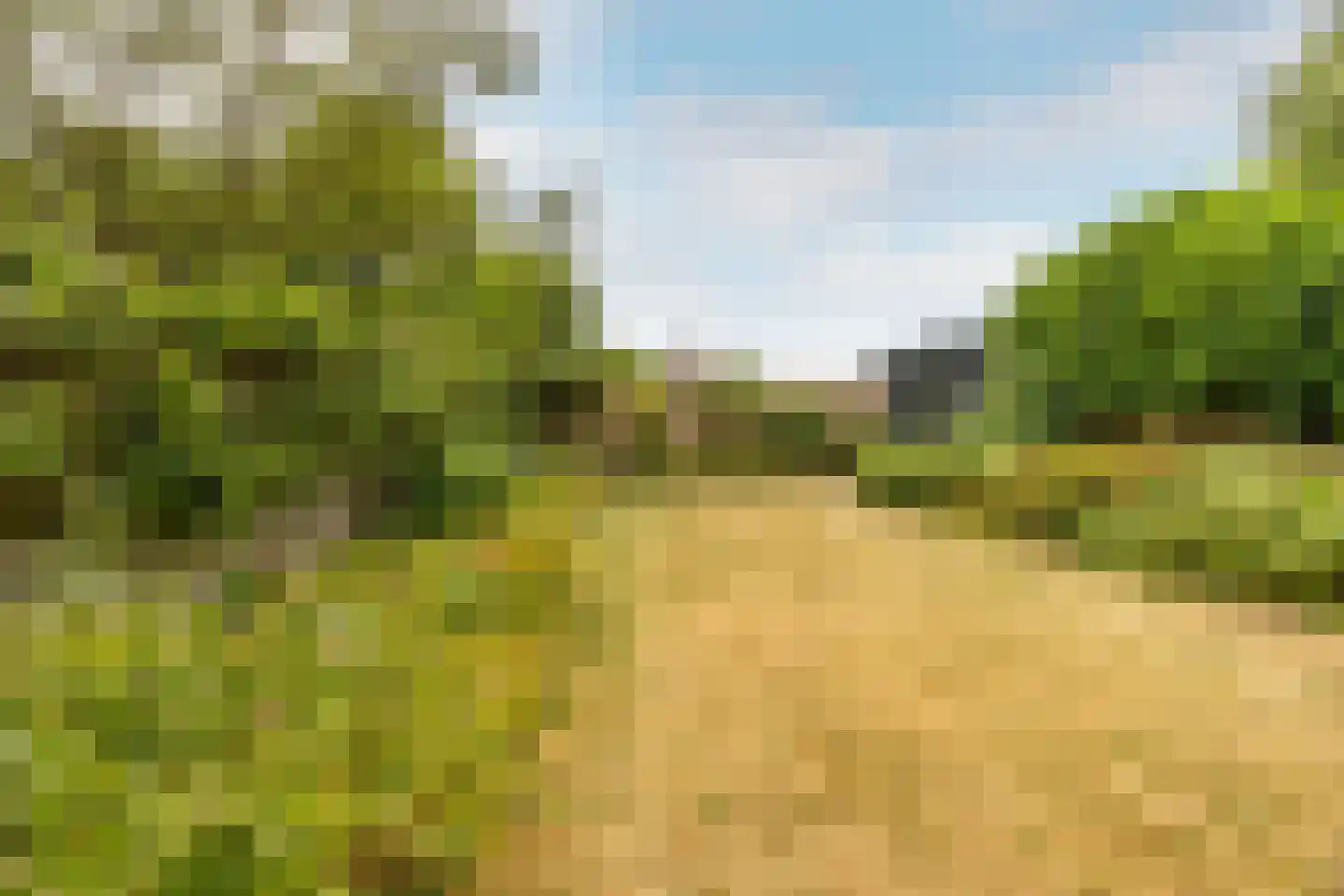 Van Merlenlaan 3 Heemstede thumbnail 36