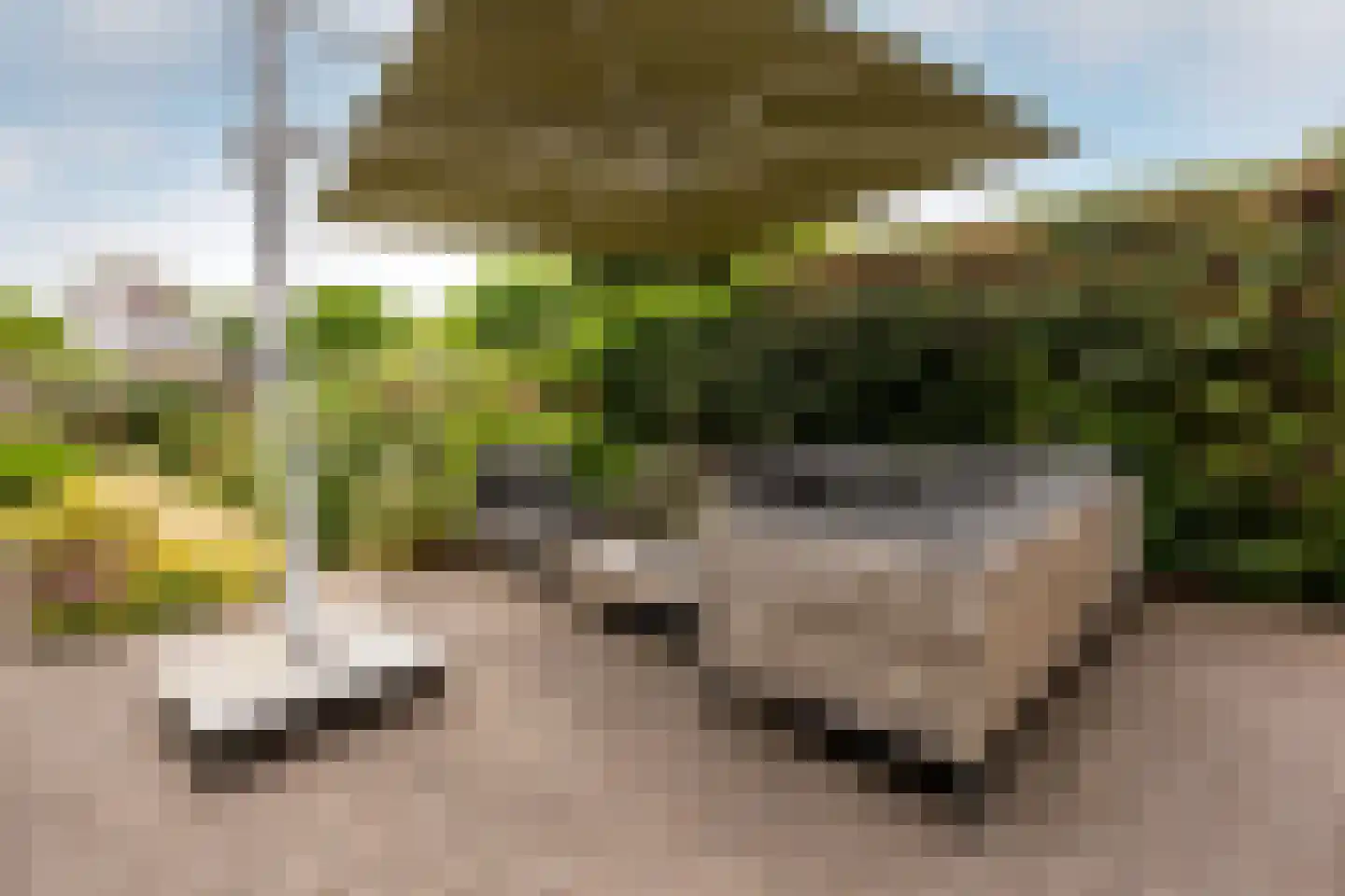 Van Merlenlaan 3 Heemstede thumbnail 39
