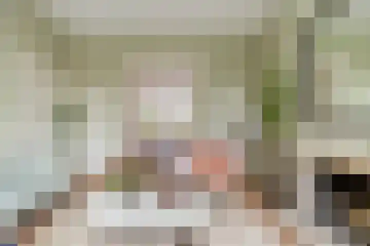 Van Merlenlaan 3 Heemstede thumbnail 4