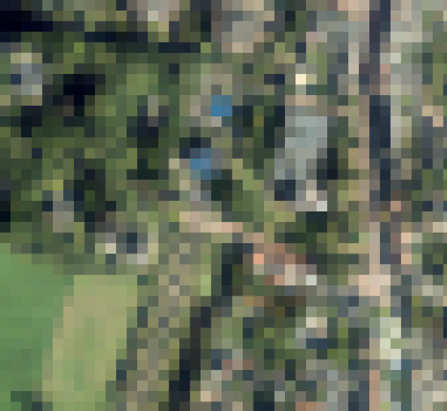Van Merlenlaan 3 Heemstede thumbnail 43