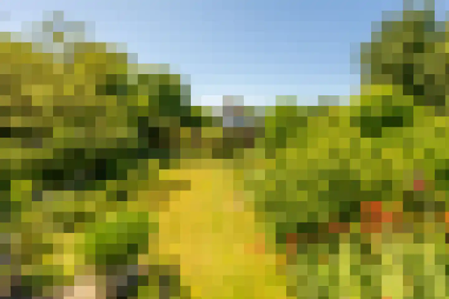 Van Merlenlaan 3 Heemstede thumbnail 5