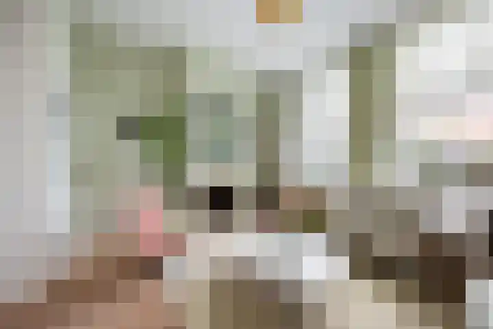Van Merlenlaan 3 Heemstede thumbnail 5