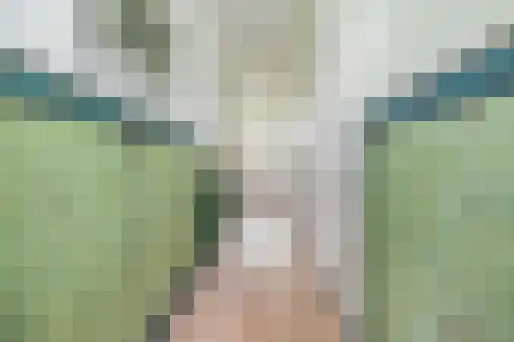 Van Merlenlaan 3 Heemstede thumbnail 9