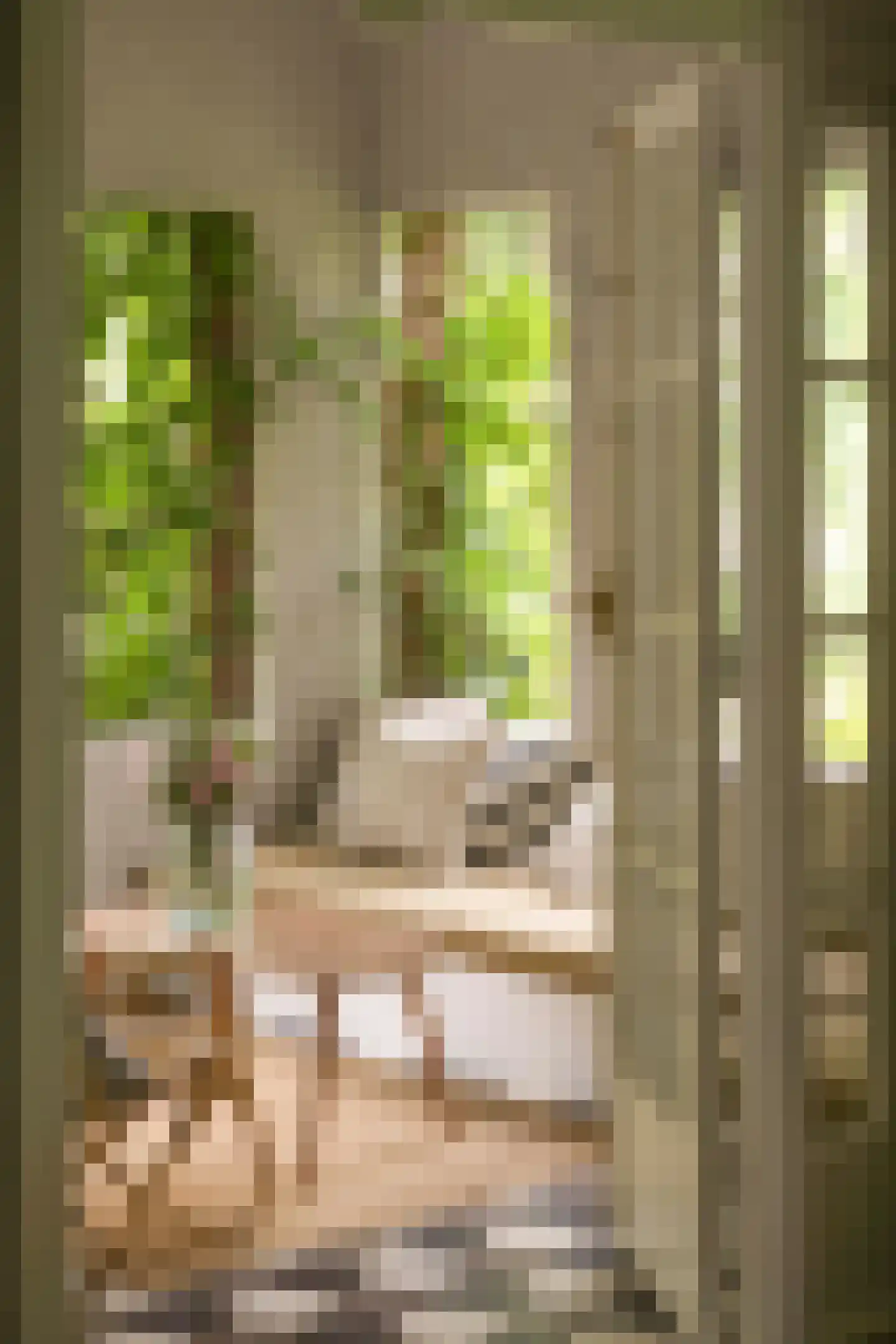 Van Merlenlaan 31 Heemstede thumbnail 18