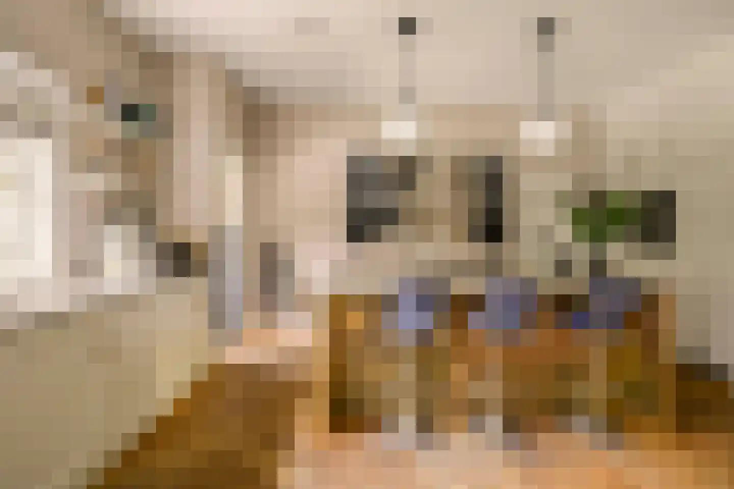 Van Merlenlaan 31 Heemstede thumbnail 31