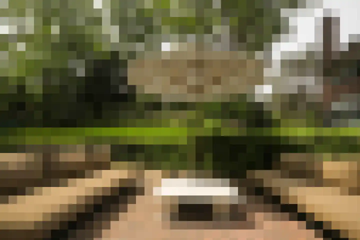 Van Merlenlaan 31 Heemstede thumbnail 45