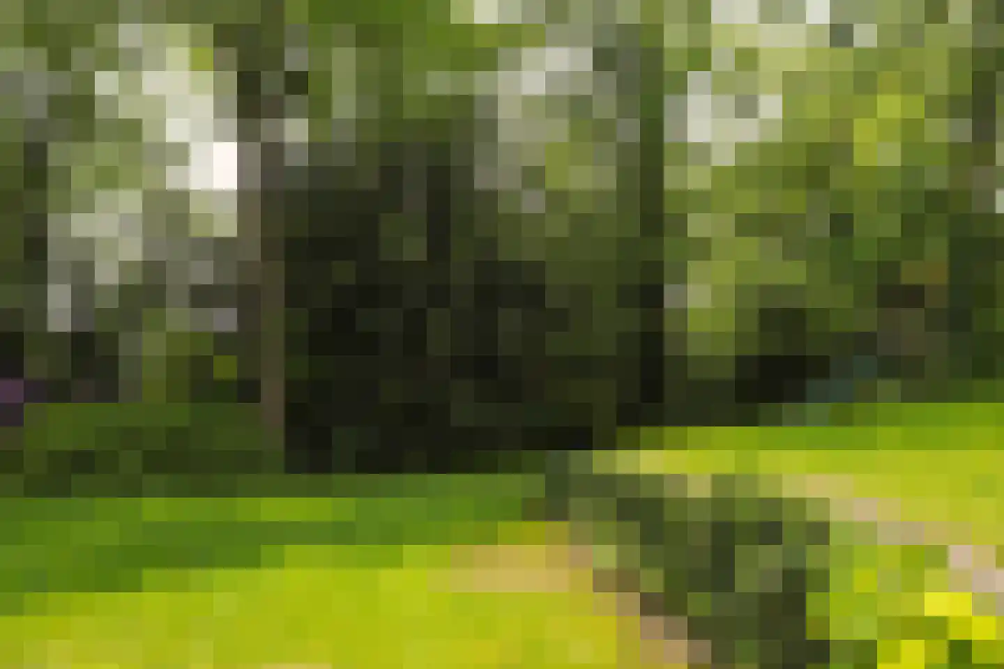 Van Merlenlaan 31 Heemstede thumbnail 46