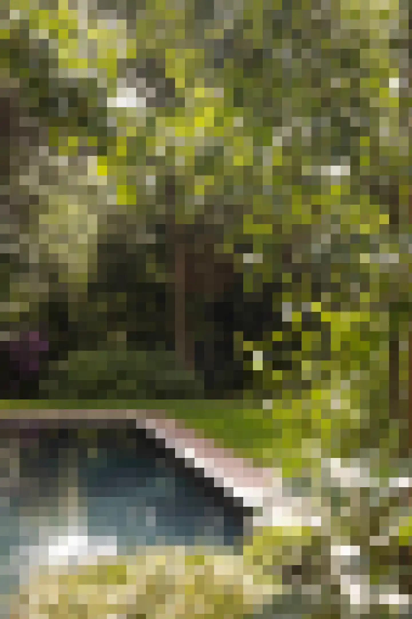 Van Merlenlaan 31 Heemstede thumbnail 49