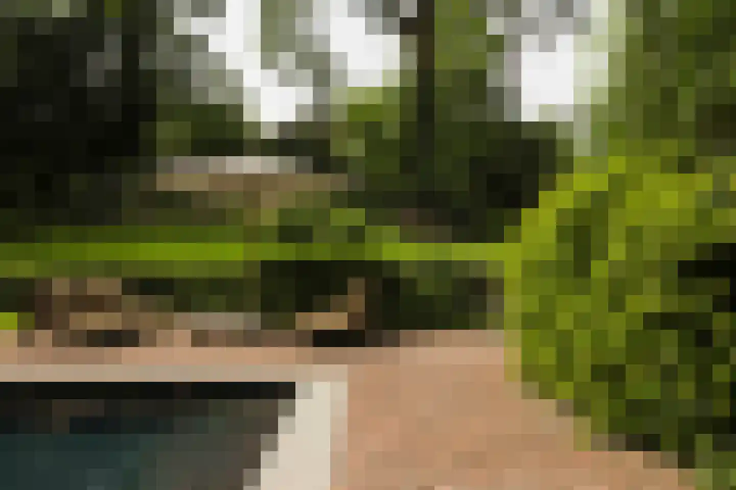 Van Merlenlaan 31 Heemstede thumbnail 50