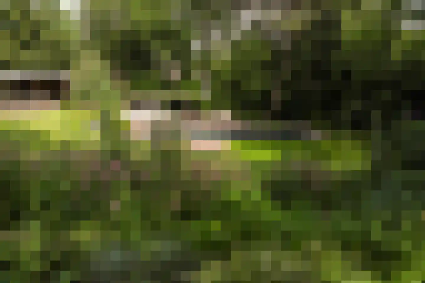 Van Merlenlaan 31 Heemstede thumbnail 56