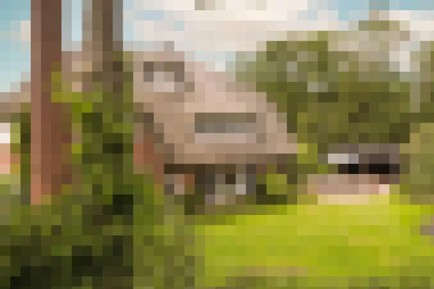 Van Merlenlaan 31 Heemstede thumbnail 58
