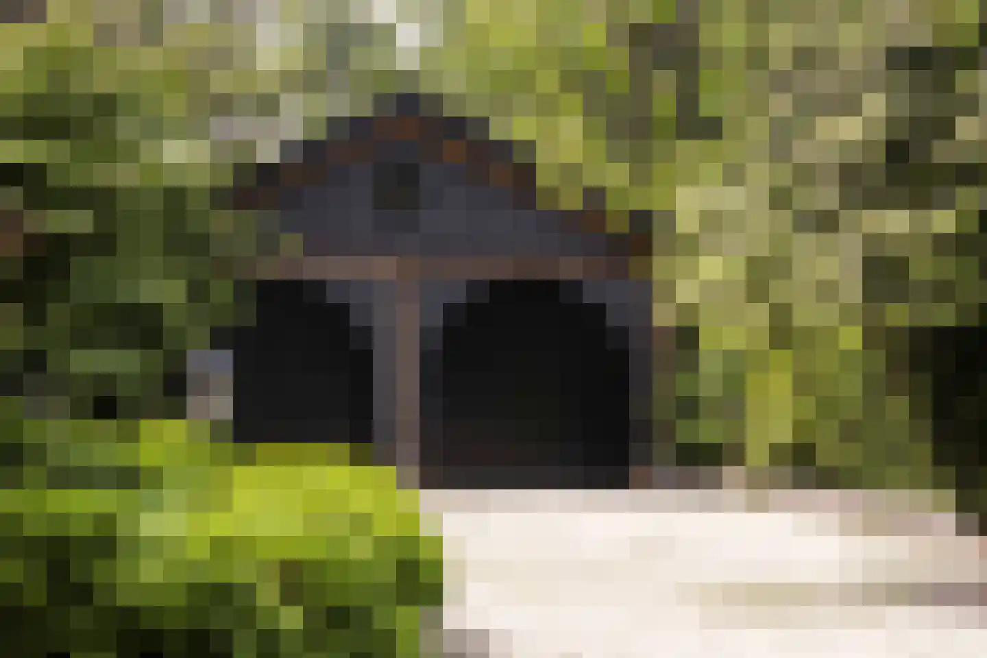 Van Merlenlaan 31 Heemstede thumbnail 64