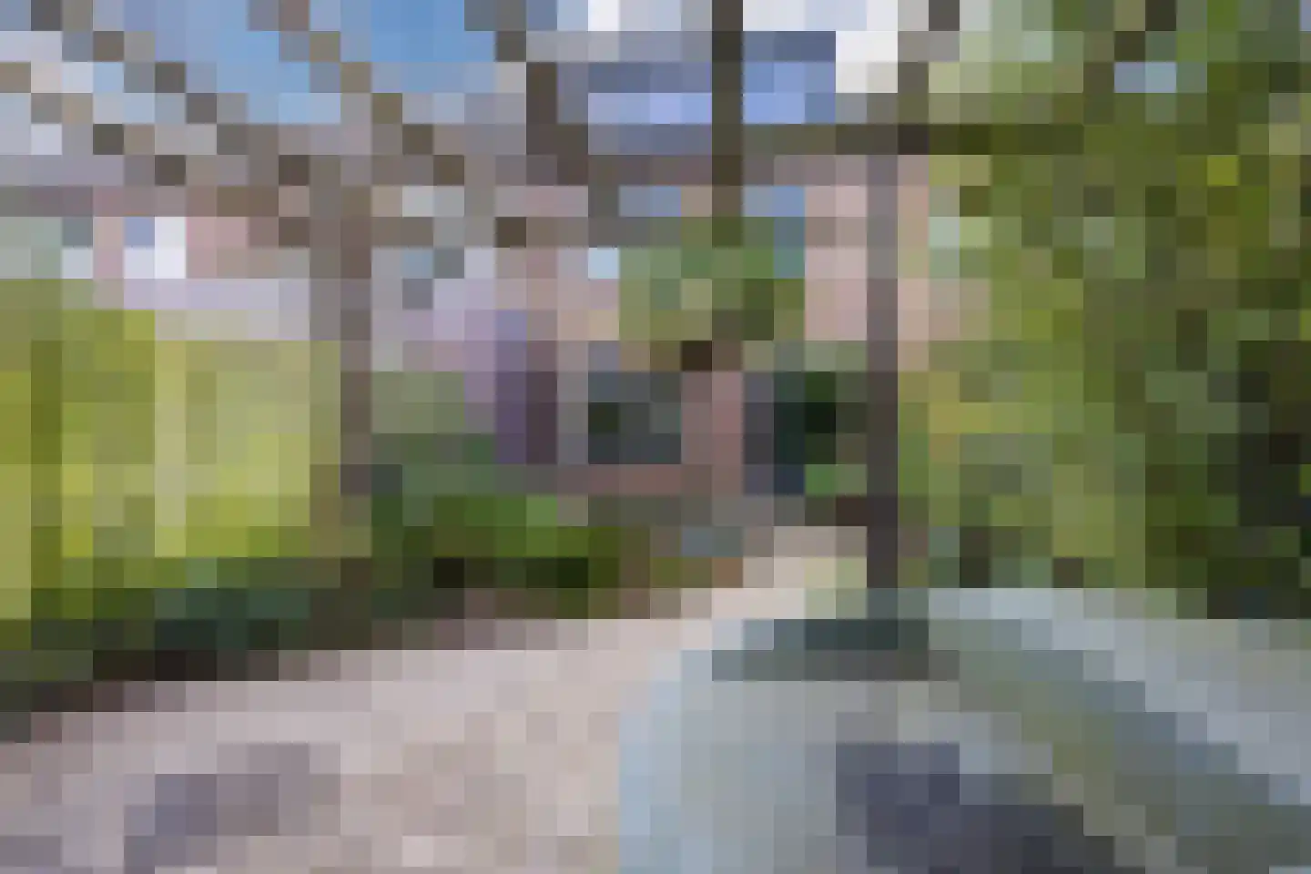 van Merodestraat 24 Leidschendam thumbnail 25