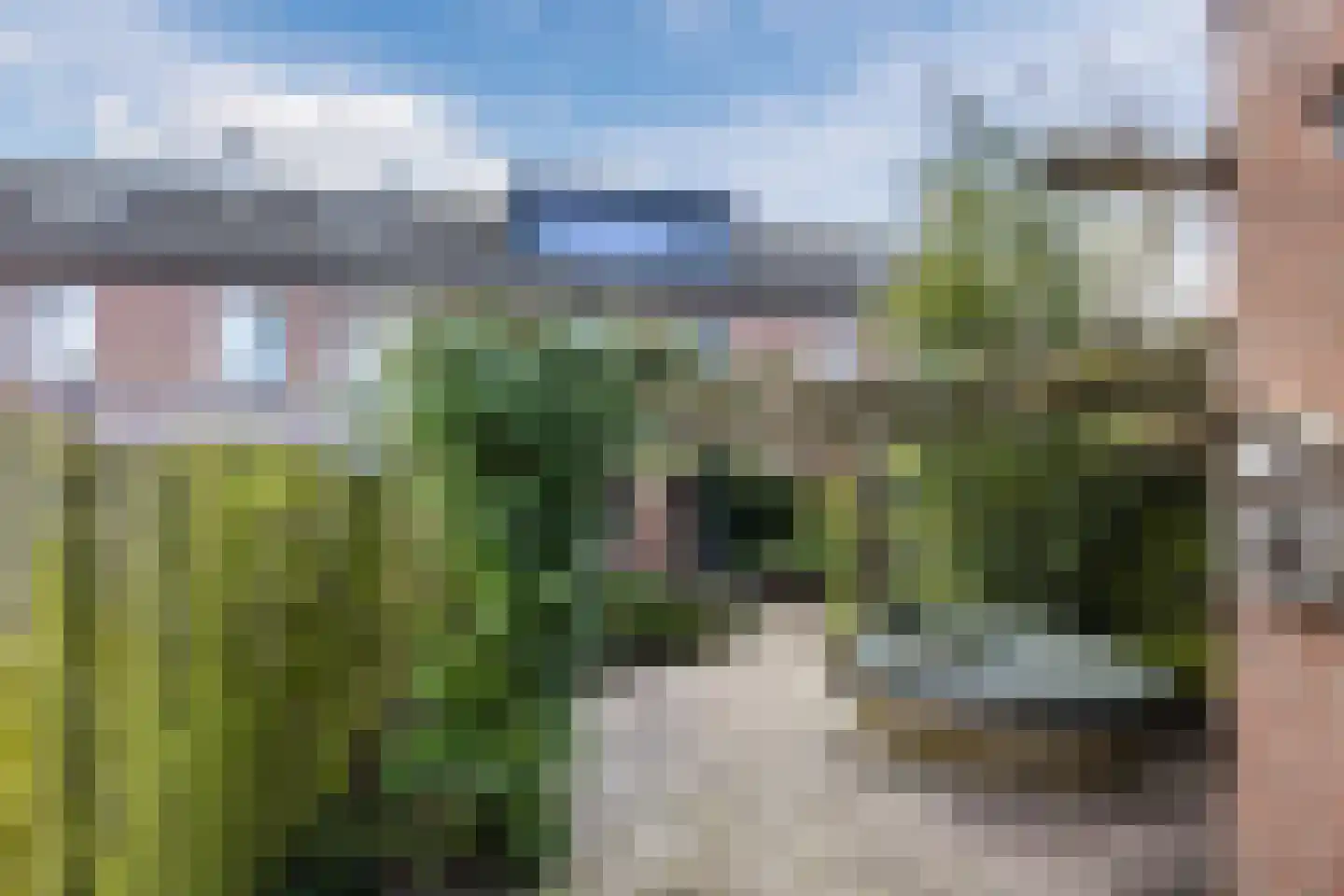 van Merodestraat 24 Leidschendam thumbnail 26