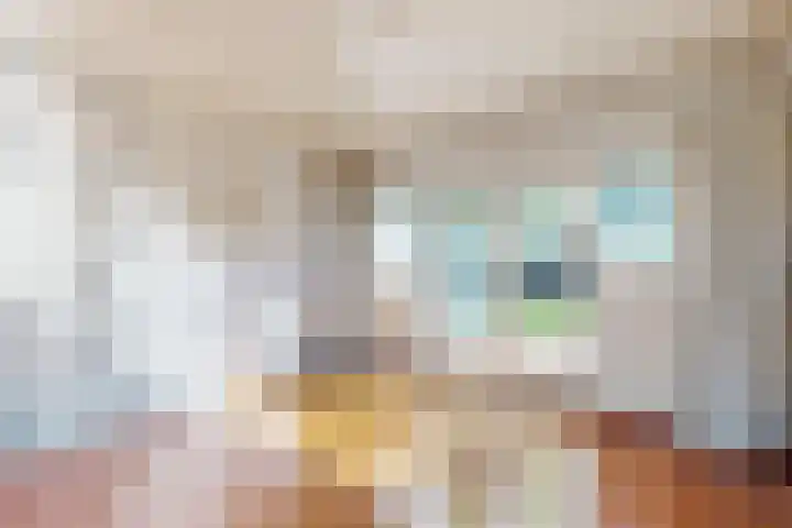 van Merodestraat 3 Voerendaal thumbnail 6