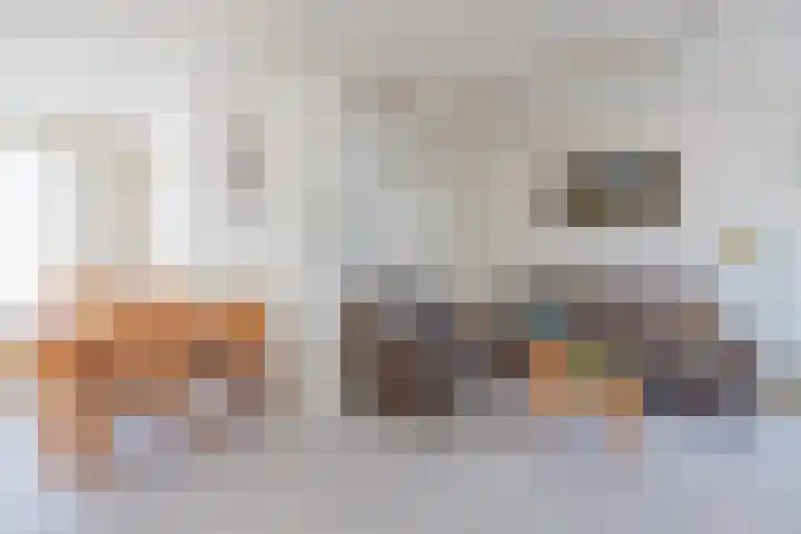 van Merwedestraat 9 Geertruidenberg thumbnail 10