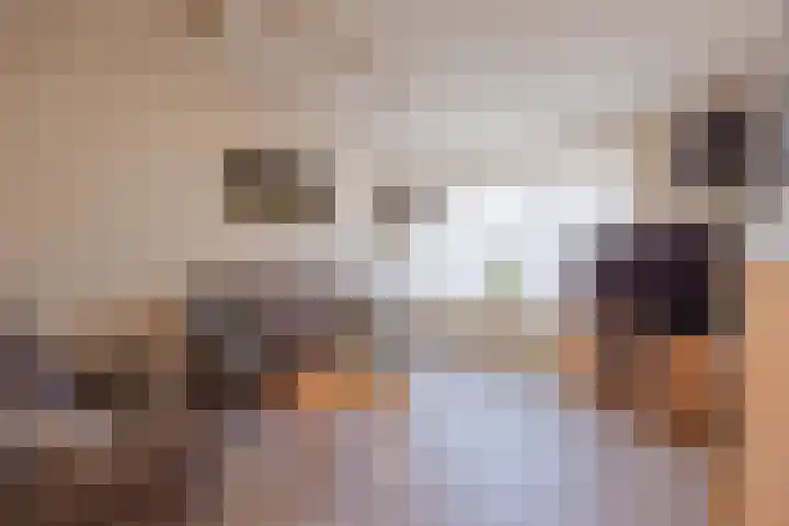van Merwedestraat 9 Geertruidenberg thumbnail 12