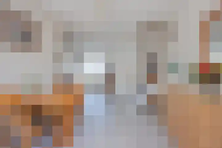 van Merwedestraat 9 Geertruidenberg thumbnail 14