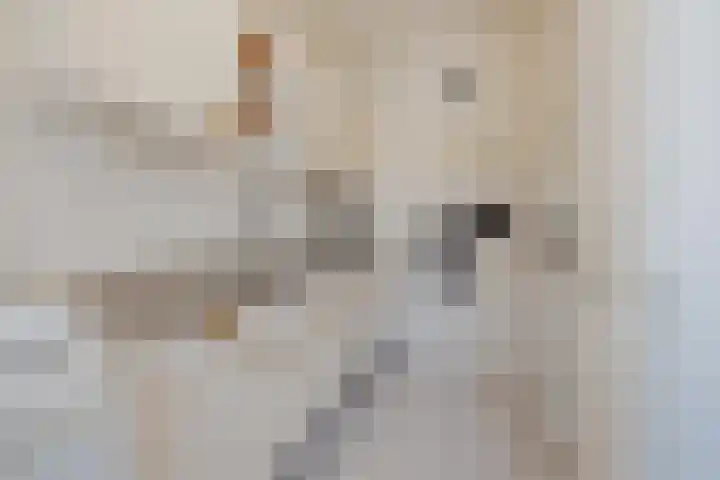 van Merwedestraat 9 Geertruidenberg thumbnail 16