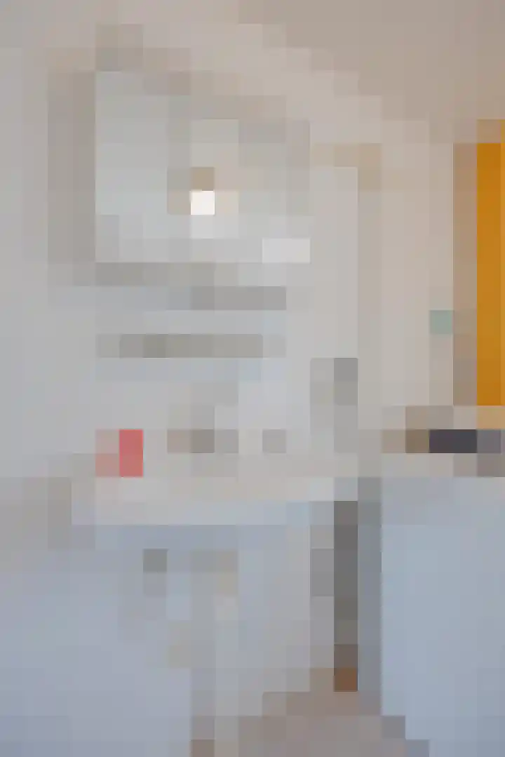 van Merwedestraat 9 Geertruidenberg thumbnail 21